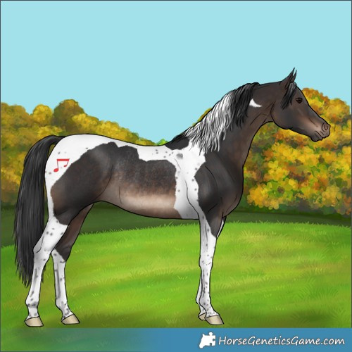 Horse Color:Brown Tobiano Rabicano