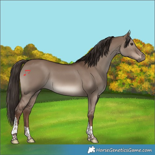 Horse Color:Liver Red Dun Tobiano 