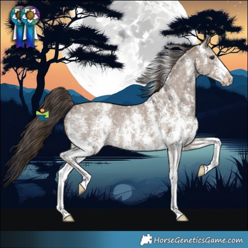 Horse Color:Liver Red Dun Sabino Snowflake Varnish 
