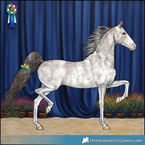 Horse Color:Liver Red Dun Sabino Appaloosa