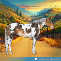 Horse Color:White Spotted Silver Buckskin Tobiano