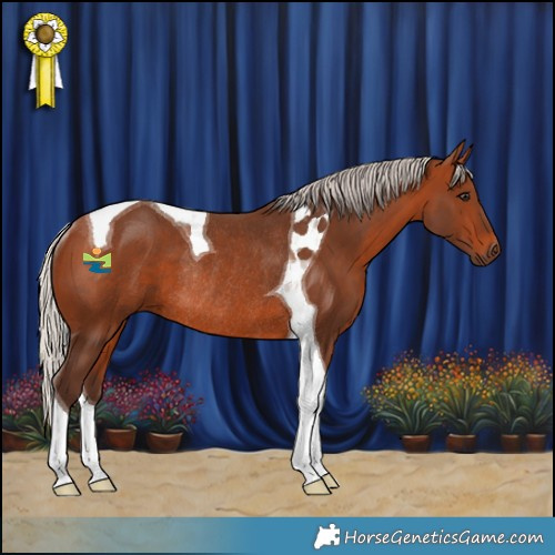 Horse Color:Silver Brown Tobiano Rabicano 
