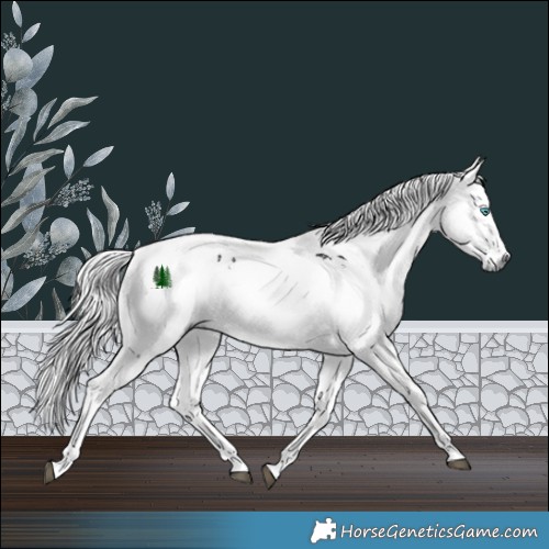 Horse Color:White Spotted Black Harlequin Merle Tobiano 