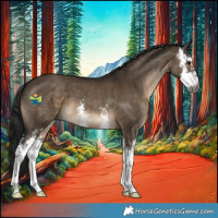 Horse Color:Gray Brown Dun Sabino