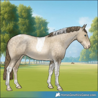 Horse Color:Brown Snowdrop Pearl Tobiano Appaloosa