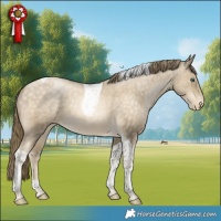 Horse Color:Brown Snowdrop Pearl Tobiano Varnish