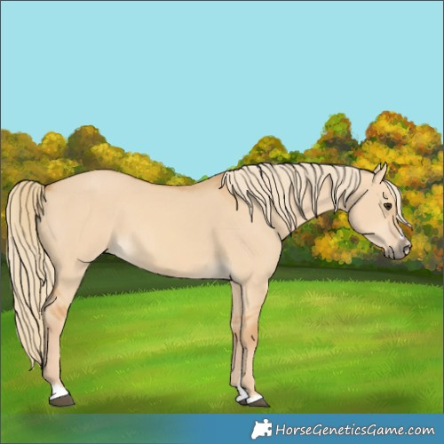 Horse Color:Red Dun 
