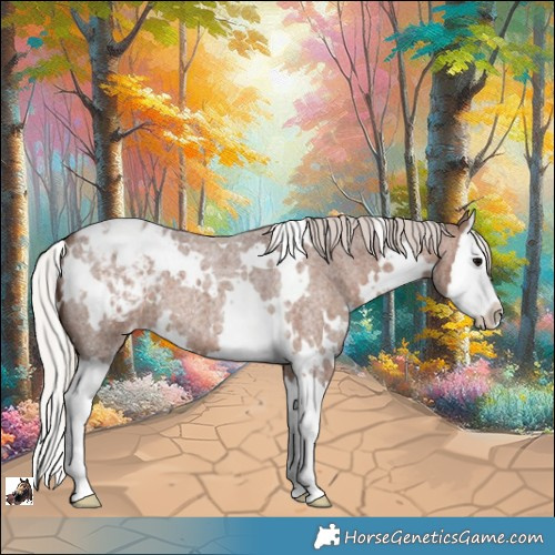 Horse Color:White Spotted Silver Blue Roan Splash Appaloosa