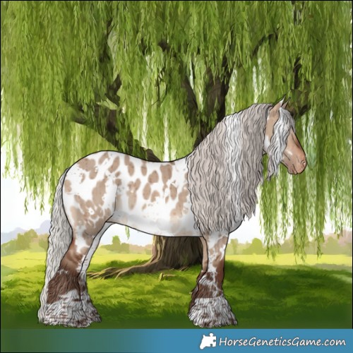 Horse Color:White Spotted Silver Bay Dun Appaloosa Brindle