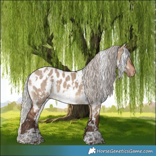Horse Color:White Spotted Silver Bay Dun Near Leopard Brindle 