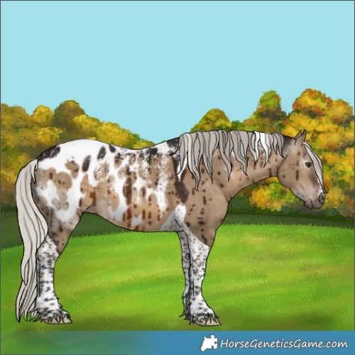 Horse Color:Powder White Gray Silver Brown Dun Tobiano Blanket Brindle