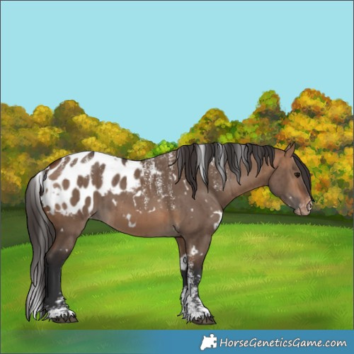 Horse Color:Powder White White Spotted Bay Dun Blanket Brindle