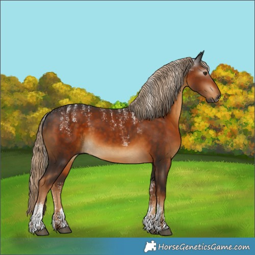 Horse Color:Powder White Gray Chocolate Palomino