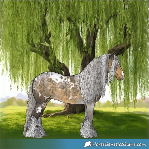 Horse Color:Powder White White Spotted Silver Smoky Grullo Rabicano Brindle 