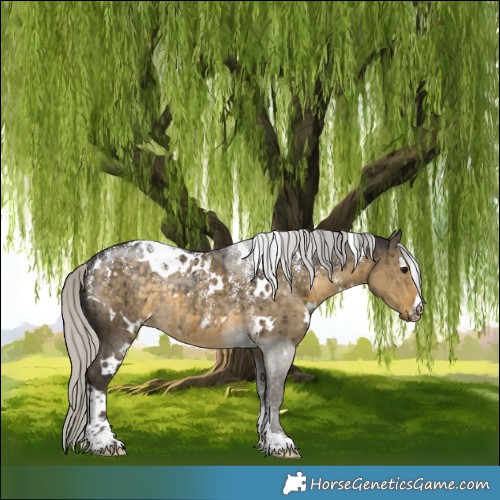 Horse Color:Powder White White Spotted Silver Smoky Grullo Rabicano Brindle