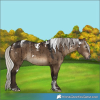 Horse Color:Powder White Gray White Spotted Silver Brown Dun Snowcap Rabicano Brindle