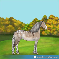 Horse Color:Powder White Silver Brown Dun Splash Rabicano
