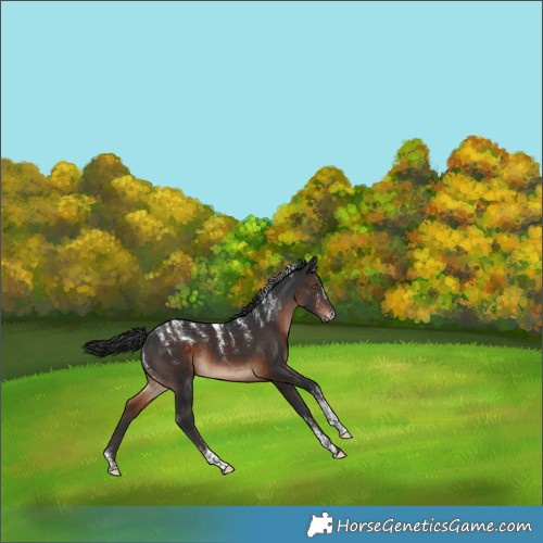 Horse Color:Powder White Brown 