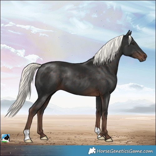 Horse Color:Liver Chestnut Mushroom 