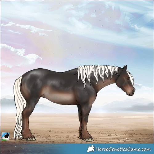 Horse Color:Liver Chestnut Mushroom 