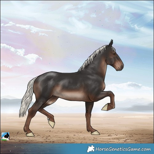 Horse Color:Liver Chestnut Mushroom 