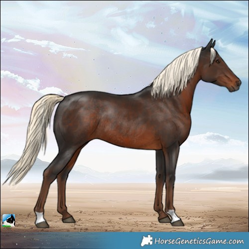 Horse Color:Gray Liver Chestnut Mushroom Rabicano