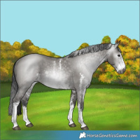 Horse Color:Gray Grullo Sabino Rabicano