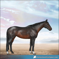 Horse Color:Brown Rabicano