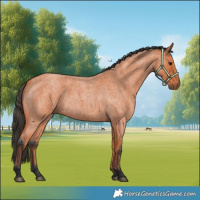 Horse Color:Bay Roan