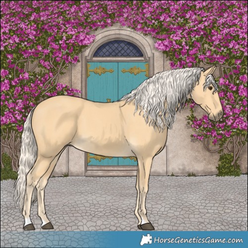 Horse Color:Palomino 