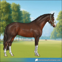 Horse Color:Liver Chestnut 