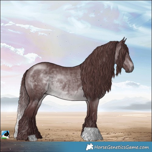 Horse Color:Chocolate Brown Chinchilla Rabicano 