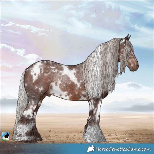 Horse Color:White Spotted Chocolate Silver Brown Rabicano 
