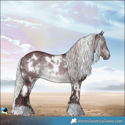 Horse Color:White Spotted Chocolate Silver Brown Chinchilla 