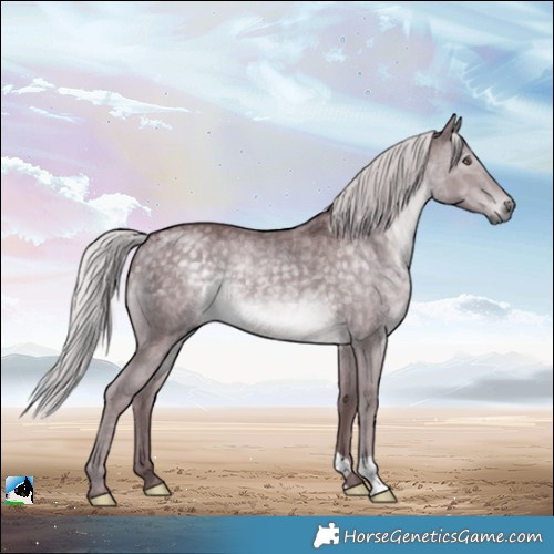 Horse Color:Chocolate Silver Black Chinchilla Rabicano 