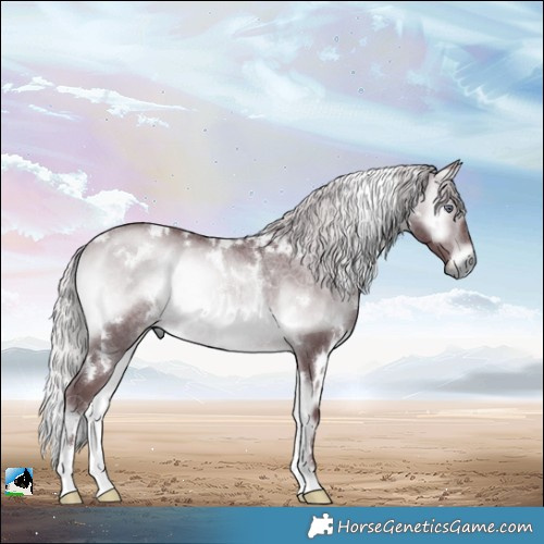 Horse Color:White Spotted Chocolate Silver Brown Chinchilla Onyx Rabicano 