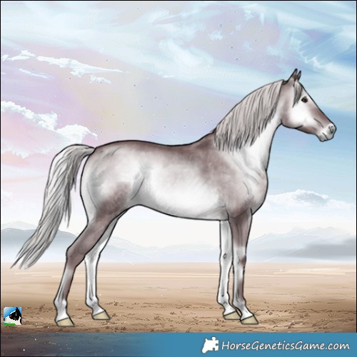 Horse Color:Chocolate Silver Blue Onyx Chinchilla 