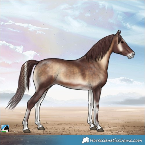 Horse Color:Chocolate Brown Onyx Rabicano 