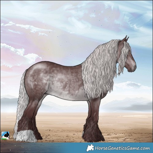 Horse Color:Chocolate Silver Brown Chinchilla Rabicano 