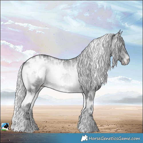 Horse Color:White Spotted Silver Brown Chinchilla Ice Onyx Rabicano 