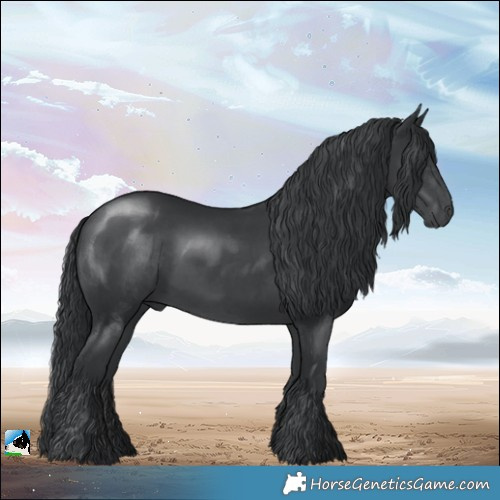 Horse Color:Black Chinchilla 