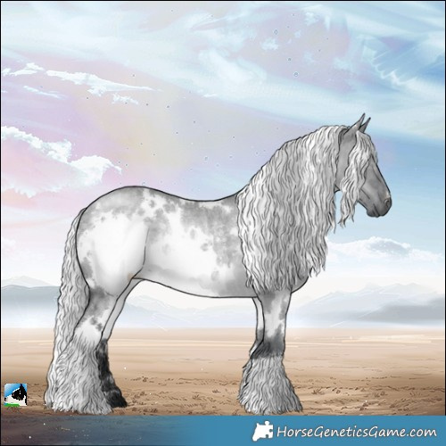Horse Color:White Spotted Silver Grullo Chinchilla Rabicano 