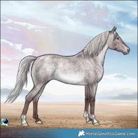 Horse Color:Chocolate Silver Brown Chinchilla Roan 