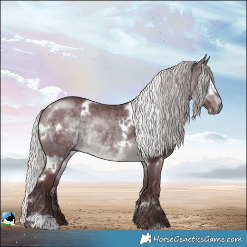 Horse Color:White Spotted Chocolate Silver Brown Chinchilla Rabicano 