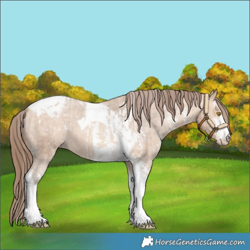 Horse Color:Amber Champagne Sabino Tobiano Varnish  and Amber Champagne Sabino Tobiano Varnish 