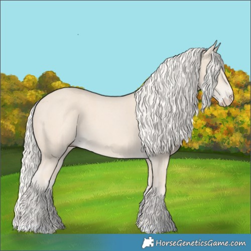 Horse Color:Cremello 
