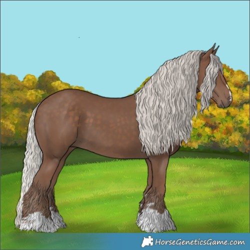 Horse Color:Silver Black 