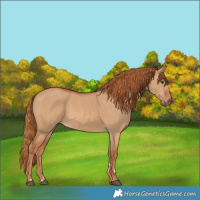 Horse Color:Red Dun