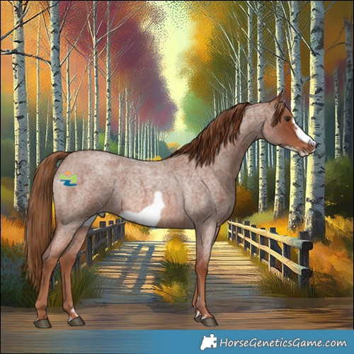 Horse Color:Red Roan Frame 