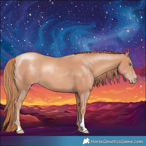 Horse Color:Gold Champagne